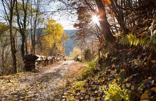Gîte du Pré au Miel en plein coeur de l'Alsace - Foto 37