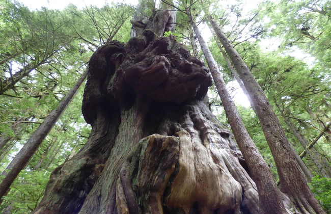 Eagle Reach - A West Coast Cottage - Foto 19