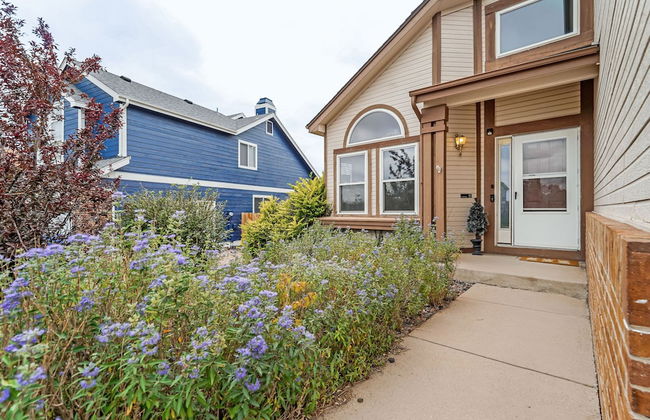 Shirley's Temple - Foto 50