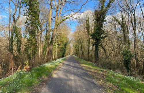 Studio Indre climatisé, La halte de Cuzé, aux abords de la Loire à vélo - Foto 29