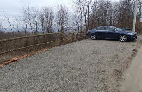 Šumski san - Foto 50