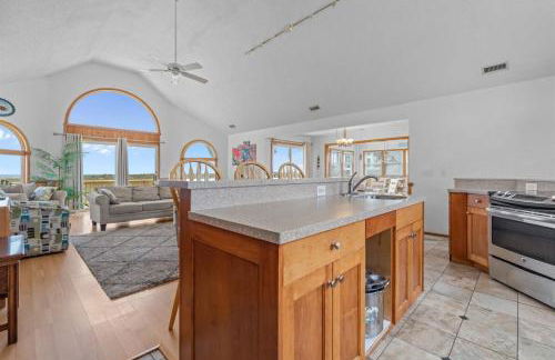 8180 - Looney Dunes - Foto 16