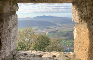 Agroturismo Urresti - Foto 97