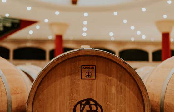 Visite du domaine Altanza - Photo 9