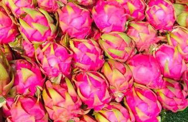 Apartamento de Inés Las Carolinas - Foto 49