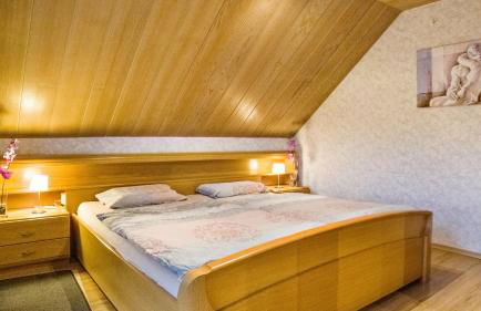 Ferienwohnungen Seeblick - Foto 28