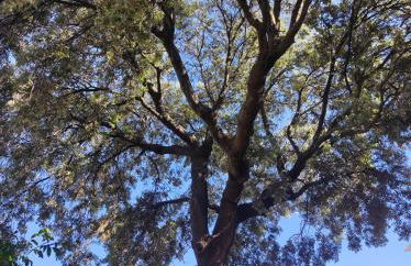 Alojamiento rural Huerta Mandre - Foto 17