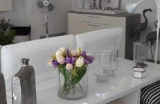 Ca Na Xisca - Foto 53