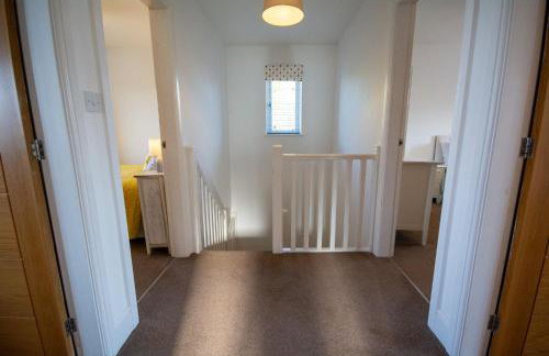 Pine Cones - Foto 23