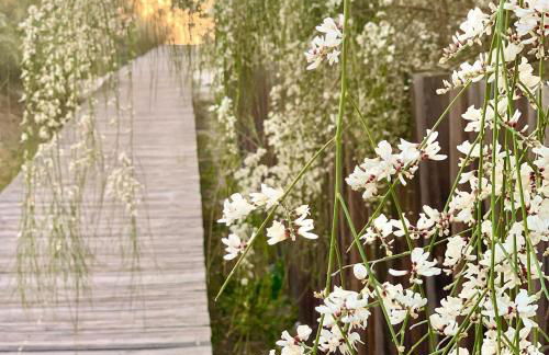 Vill'Amar Tróia - Foto 21