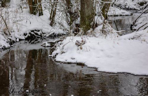 Ferienhaus TierbachLodge - Foto 39