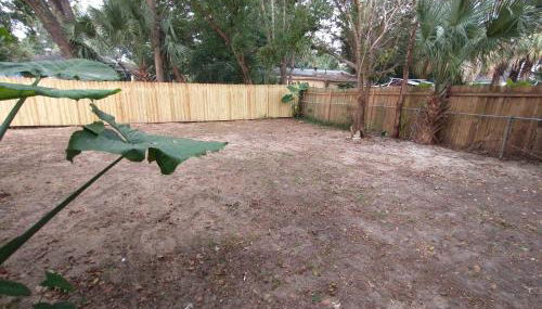 Welcome to Pineapple House! - Foto 5