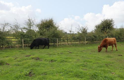 The Stable - Foto 26