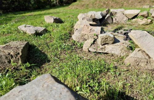 Budzi nas las Marcyporęba - Duży domek - Photo 34