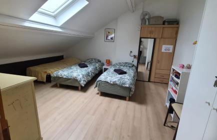 T2 Duplex 40m2 proche Orly et RER C 28mn Paris - Foto 10