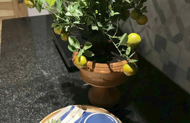 Uri House - Photo 67