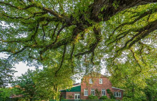 Noorderpad 5 Sternenkieker - Foto 26