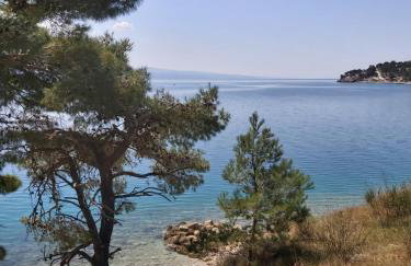 Waterview Apartments - Koru Apartment and pool - Photo 45