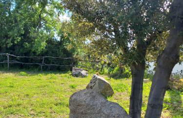 Agriturismo b&b Mares e Montes de Marrante - Photo 4