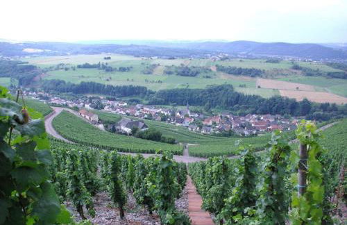 Holiday Apartment Magnolia - Foto 35