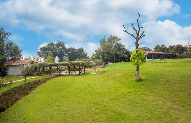 Tranquil Woods By Jade - Foto 24