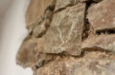 Ferienhaus Lindenglück - Foto 15