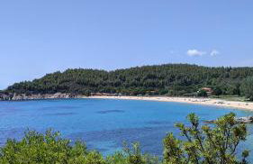 Backyard houses - Foto 35