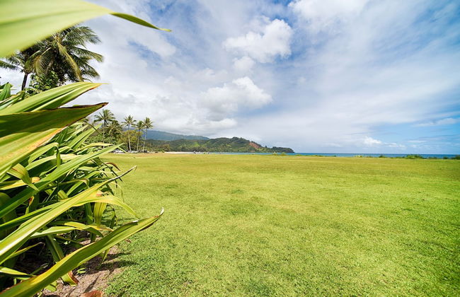 Hanalei Beach House 5 Bedroom Home by RedAwning - Photo 44