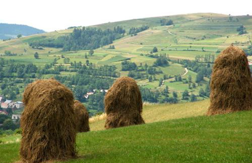 Gospodarstwo Agroturystyczne Watra - Foto 47