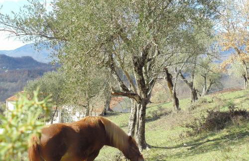 la masseria di Antonio e Teresina - Foto 74