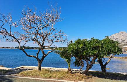 Apartments Gardelin Paklenica - Photo 44