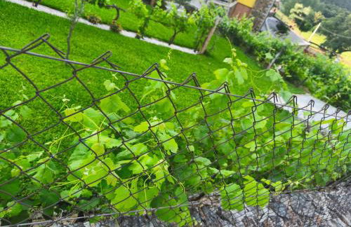 Casa da Tia Bina - Foto 40