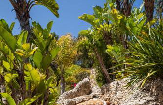 Fuente de Ibiza - Foto 42