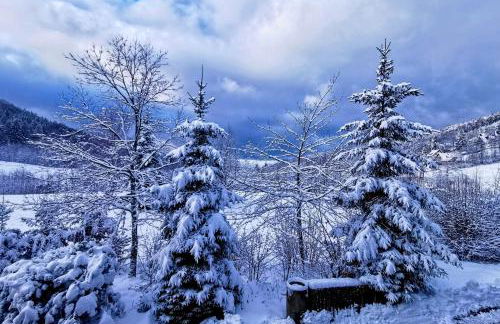 Black Forest Stay - Apartment Hirschperle - Foto 48