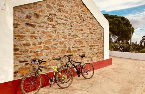 Monte do Pereiro - Foto 58