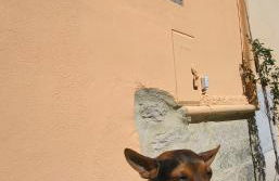 La Reginetta Holiday Home - Foto 38