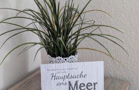 Käptn Seebär - Foto 14