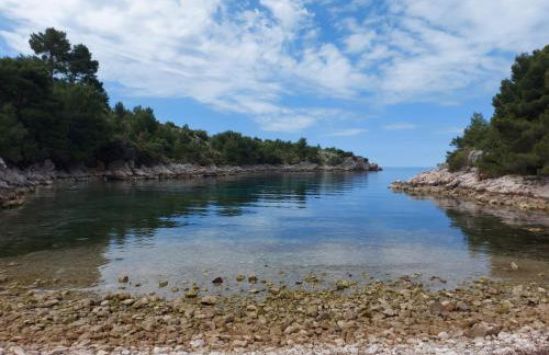 Apartman Portorus - Foto 19