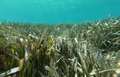 Blue Water Apartment - Foto 49