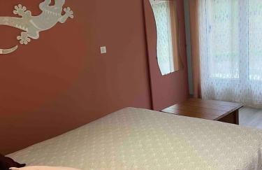 Appartement rénové à Lapte avec terrasse 40 m² - Foto 7