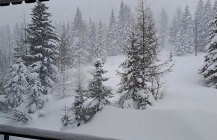 Casina Alpina sugli impianti Passo S Pellegrino - Foto 27