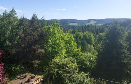 Domek Zielony Widok - noclegi Bieszczady - Foto 11