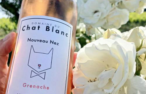 Le Cottage du Chat Blanc - Foto 17