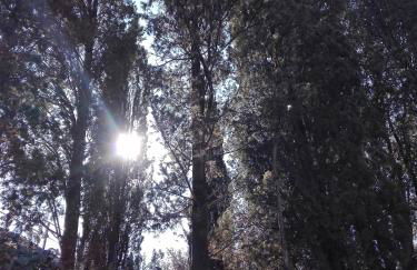 Country House Martina - Photo 17