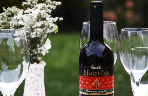 Agriturismo Gaggioli Borgo Delle Vigne - Foto 49