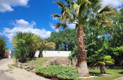 Villa Les palmiers en Provence - Logement cosy 4 pers - Foto 10