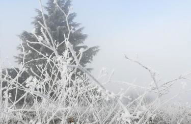 Casa das Argolas - Foto 68