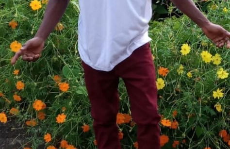 Berkey's Jungle Paradise - Photo 65