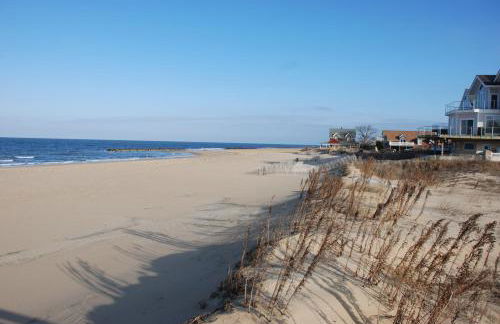 Cozy Suite - Pet friendly, Beach Side apts - Foto 1