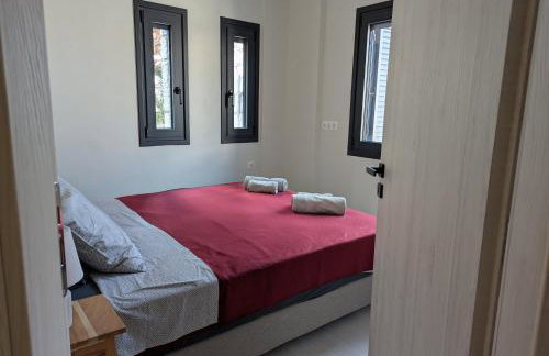 kipaki-trachila Mani - Foto 30